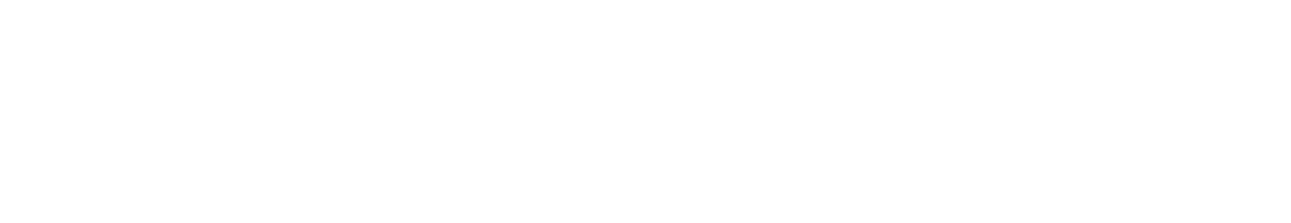 dior-trnas
